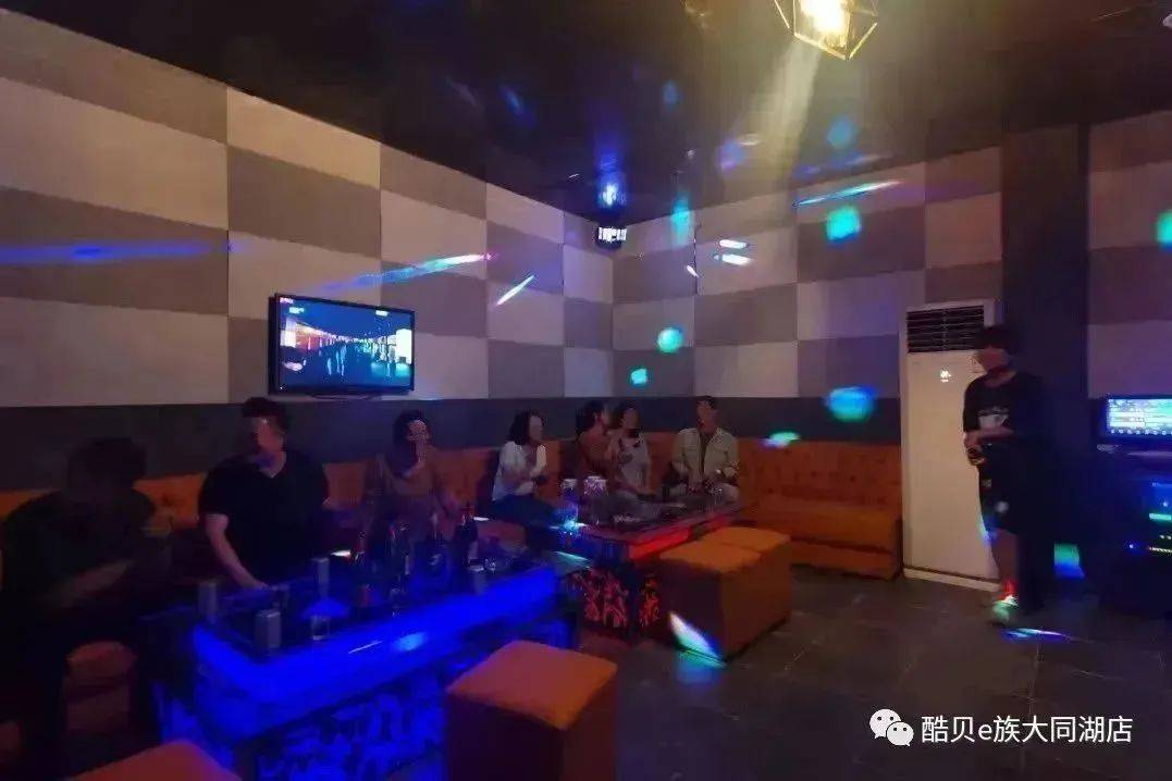 规则_狗狗_障碍