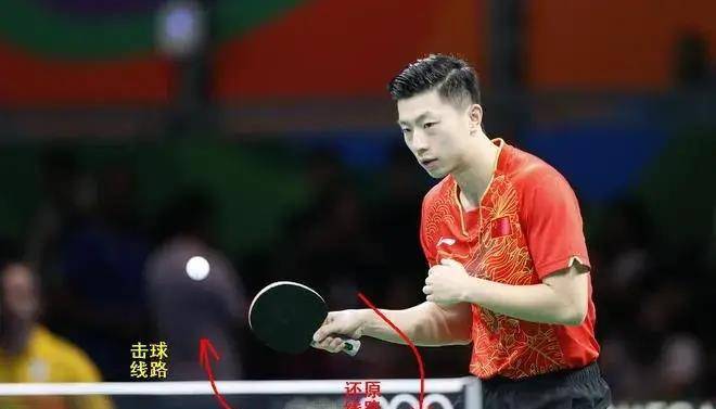 从容国团到许昕,直板如何在横板的天下中生存和发展