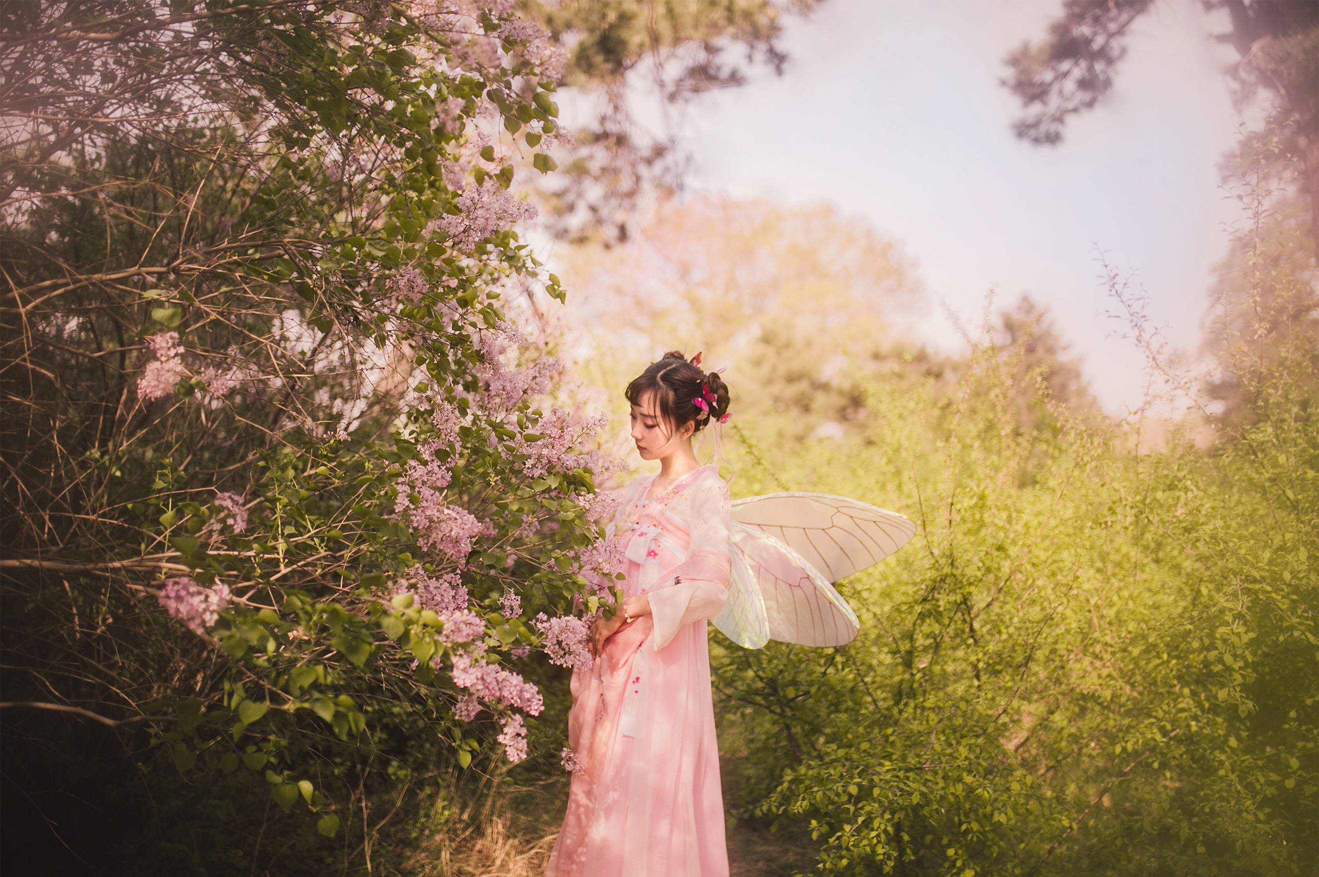 魔力和小妖的故事_银子_男人_众人