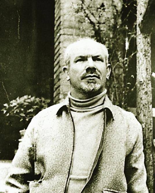 白求恩击毙名将之花阿部规秀从后方痊愈的李二喜一边感谢白求恩大夫