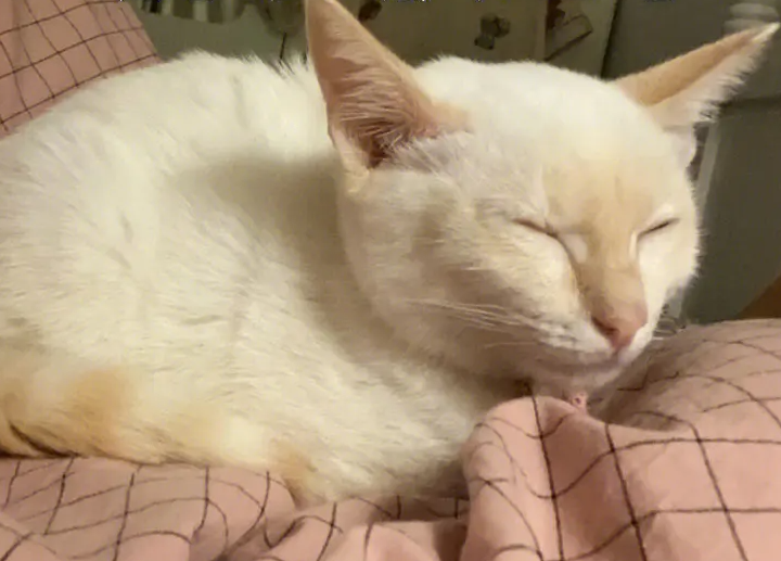 医生在简单的检查后,给了我一支药膏,并告诉我如果一周后没有效果,再