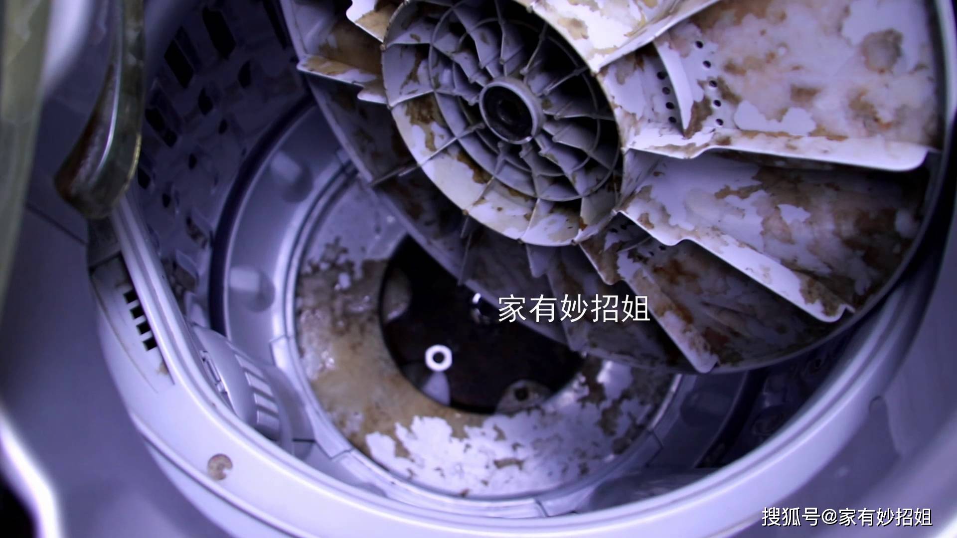 洗衣机3个月不洗,比马桶还脏?