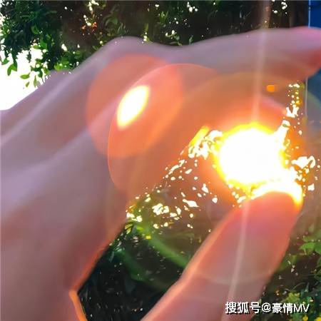一束阳光照下来图片素材_枝叶间的一束阳光唯美图片