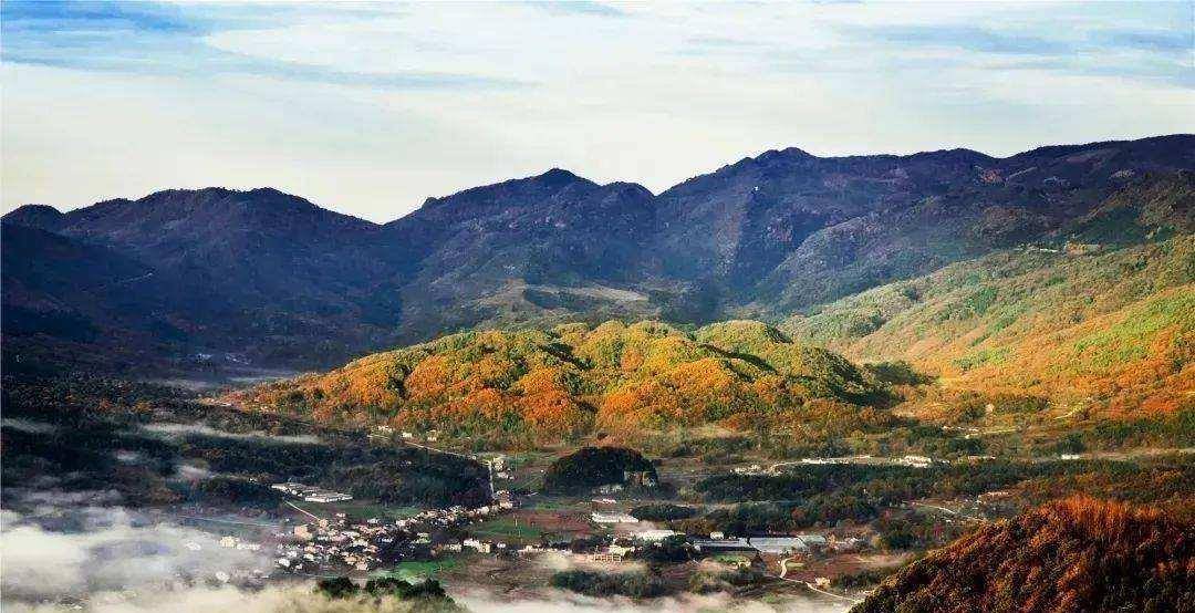 四川通江2万头野猪成灾,杀一头赚2000,职业猎人:不