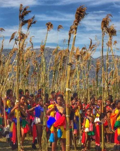 马科塞蒂维:集十万少女供国王选妃,王妃却给他戴了顶绿帽子_斯威士兰