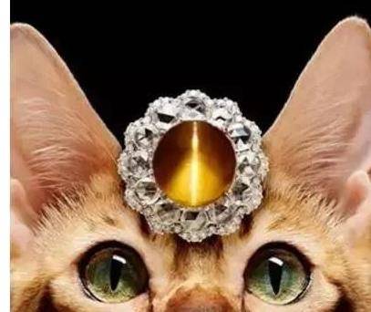 百宝箱里都有什么?_珍珠_青楼_宝石