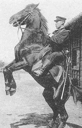 为什么说养活一个骑兵等于六个步兵?_日军_日元_战马