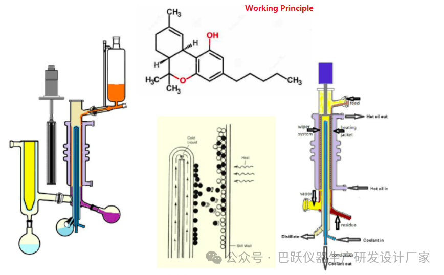 分子蒸馏的原理图解图片