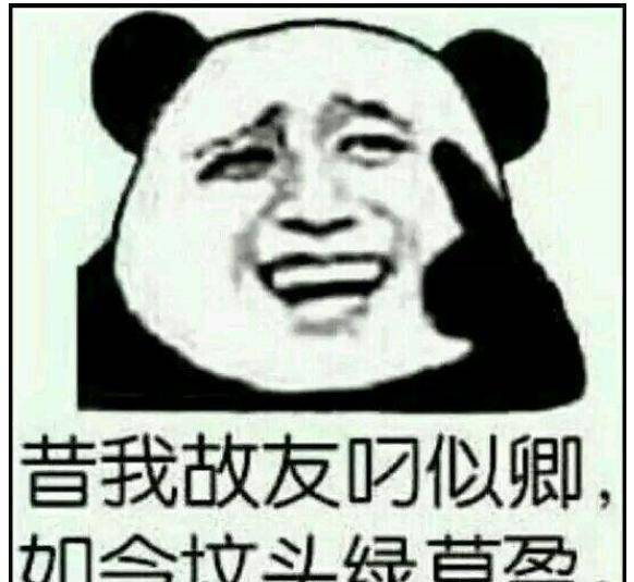 《红楼梦》里小姐说的脏话都能把大男人羞死_骂人_刘邦_皇帝