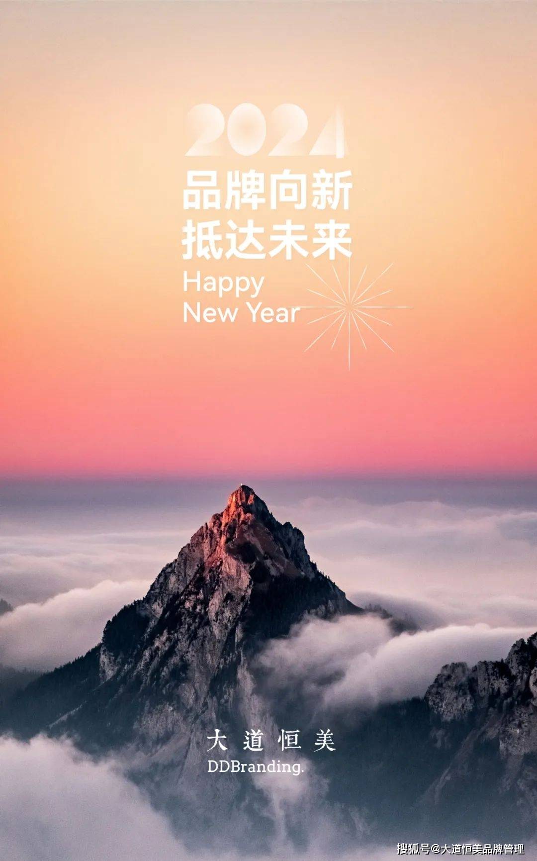 大道恒美:2024,品牌向新_深圳市_战略_文化
