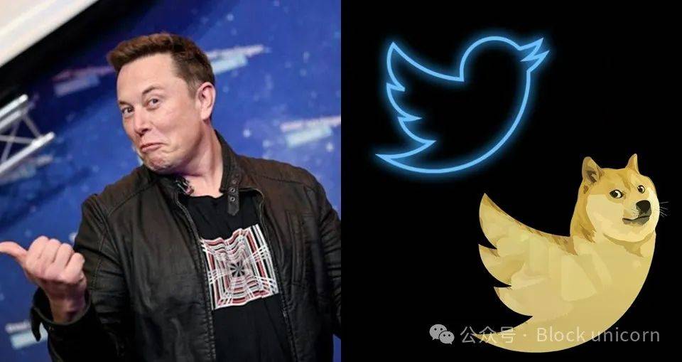 牛市狂欢:模因币的溢价