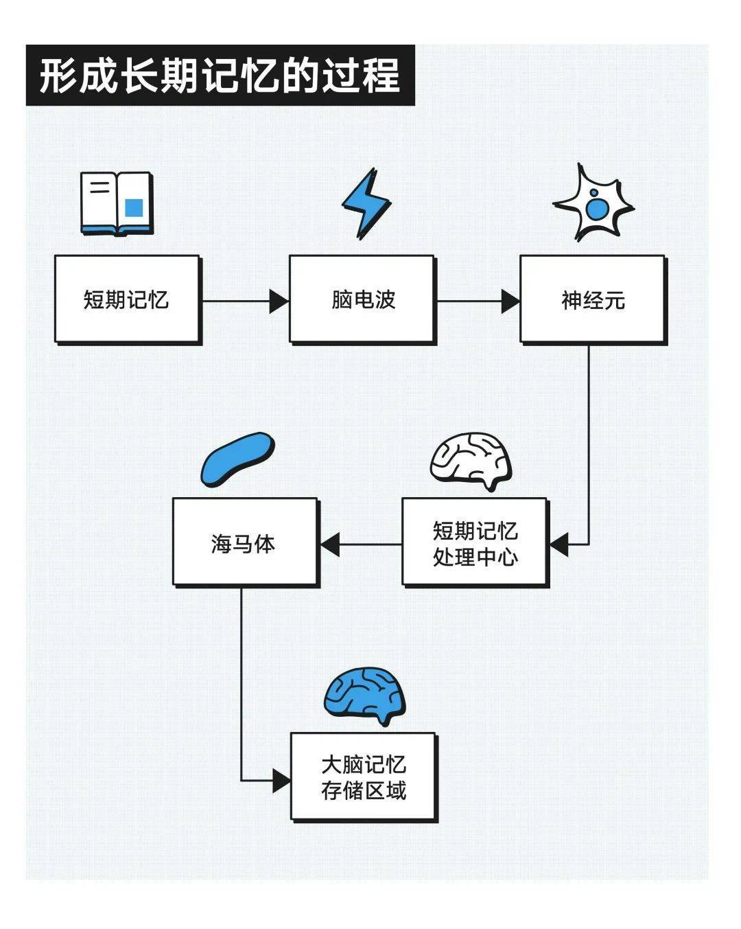 大脑_记忆力_omega