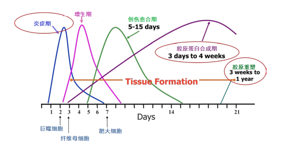 皮肤_效果_治疗