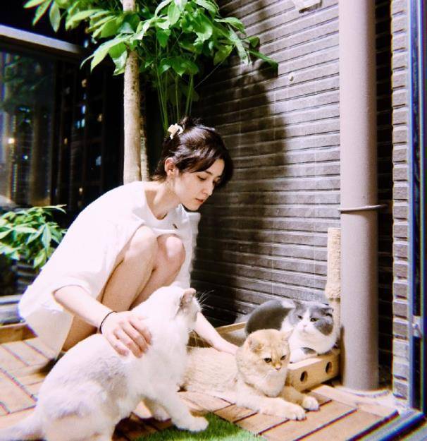 哈妮克孜风格又变了!