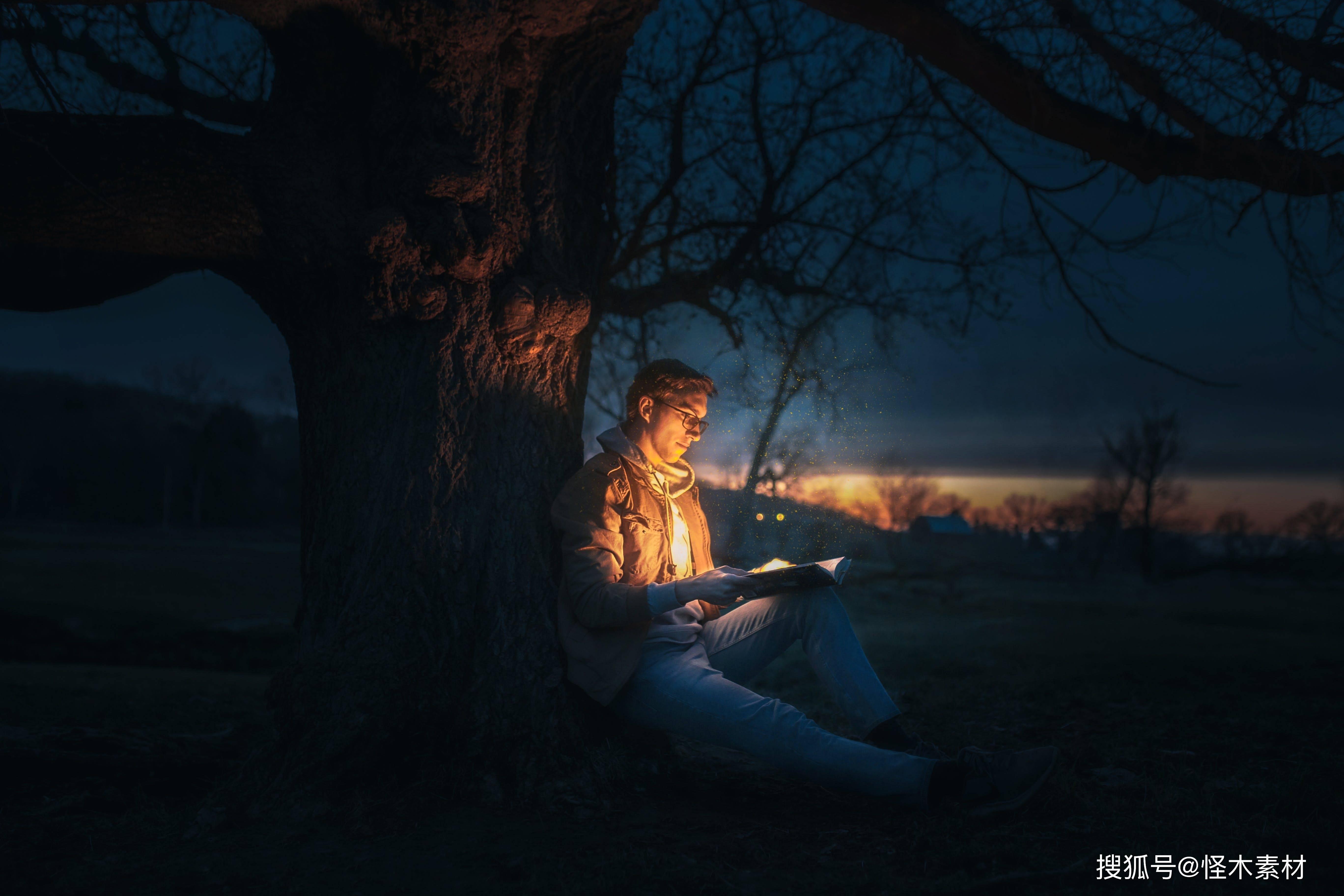 美丽雪景视频素材哪里有?