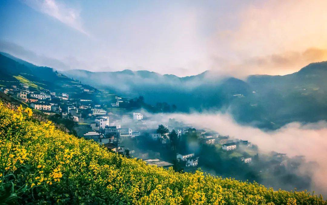 歙县新安江山水画廊,大洲源/婺源江岭梯田等2024年徽