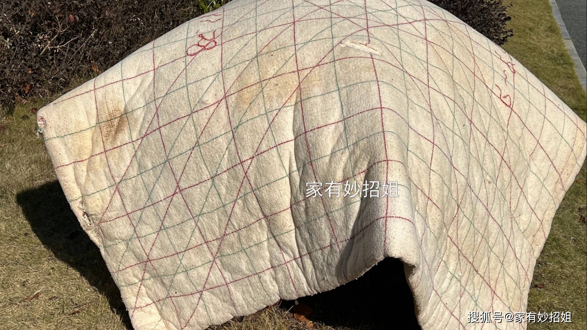 经常晒被子要留意,不然晒了也白晒,不懂的人太多,看完告知家里人_棉被