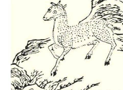 鮯鮯鱼有鱼焉,其状如鲤而六足鸟尾,名曰之鮯鮯鱼,其名自詨.