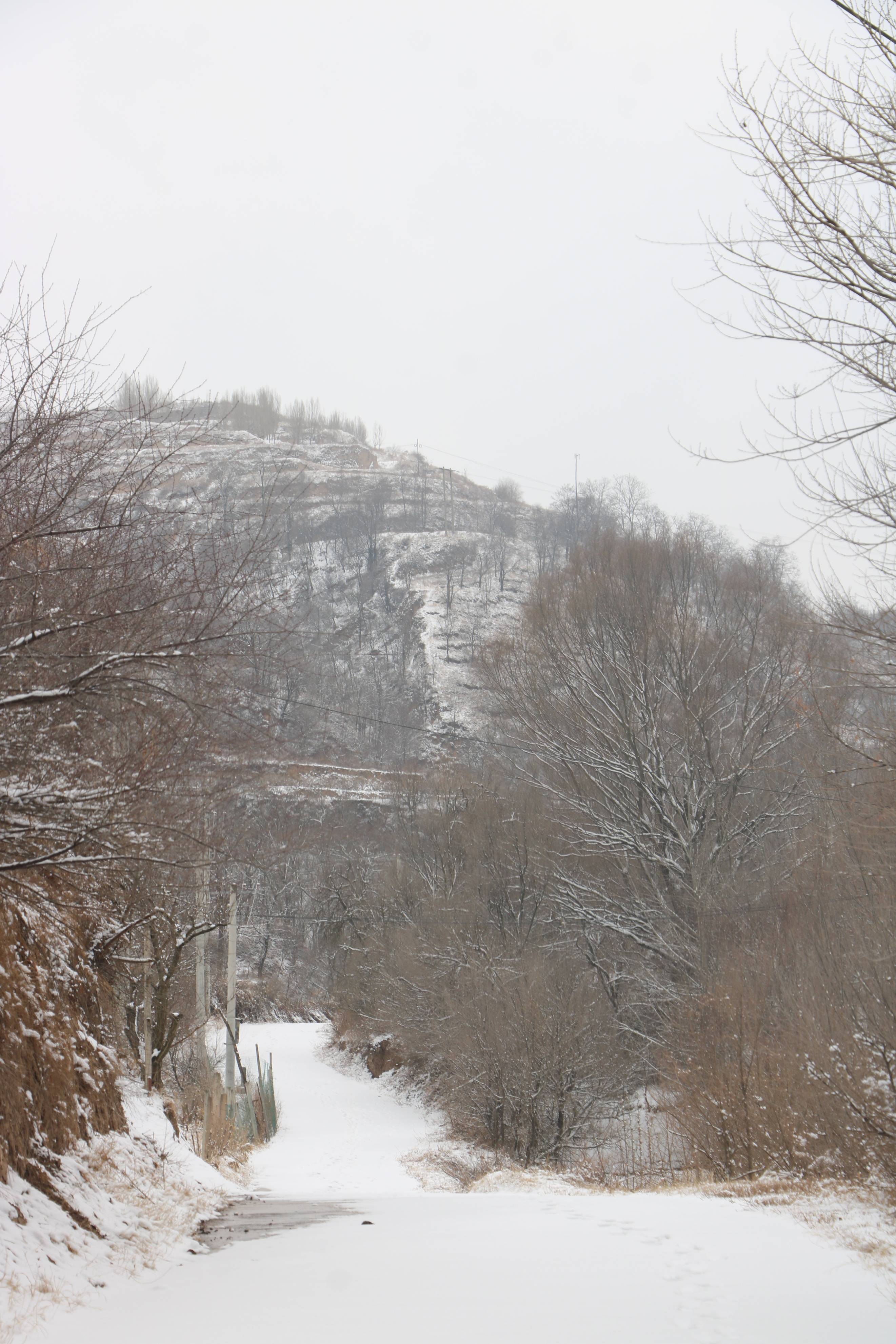 梁野山雪景图片