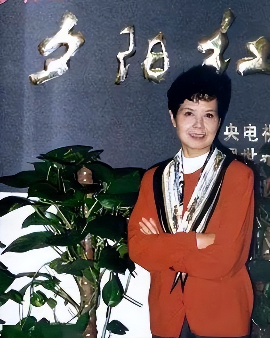 央视第一主持人沈力逝世,事业爱情圆满,唯独儿子成为一生的遗憾_成为