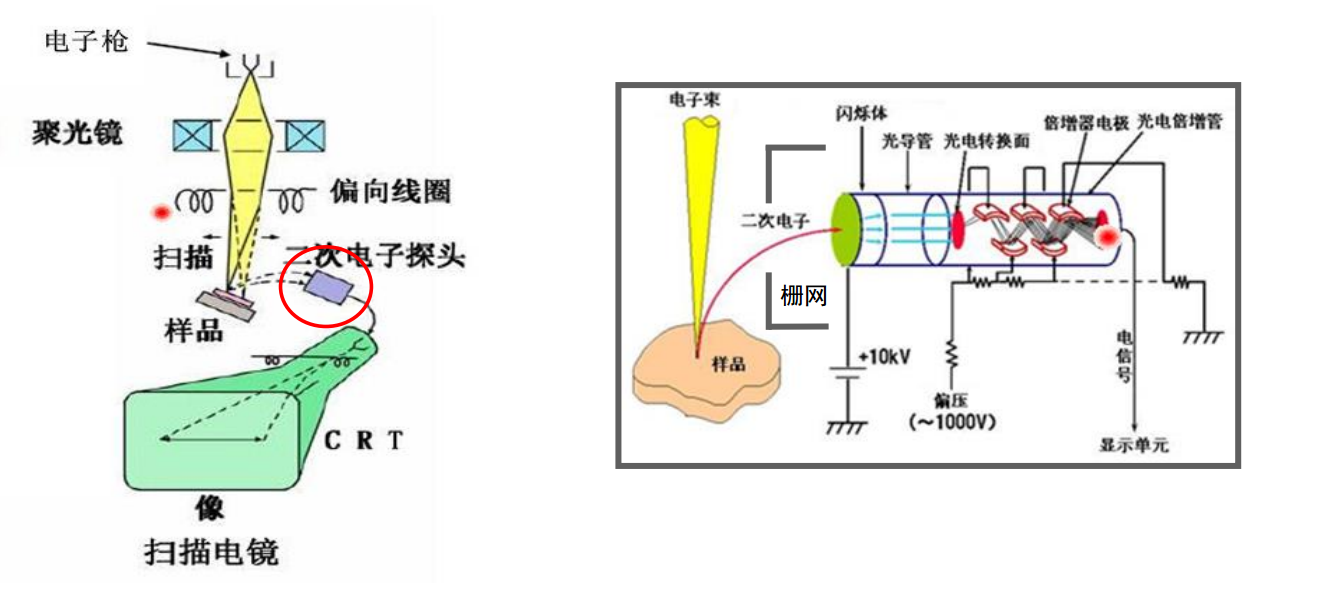泽攸科普——让你秒懂台式扫描电镜(desktop sem)原理_电子_样品_工具
