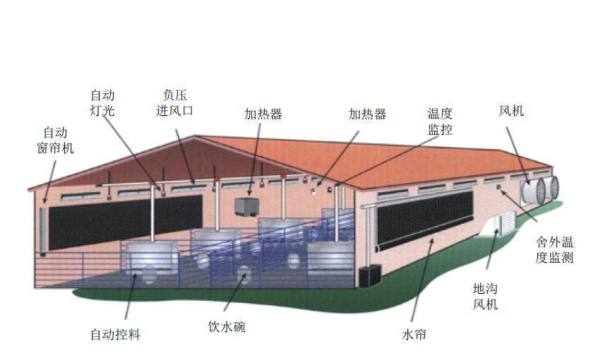 蜂窝物联:智慧养猪解决方案