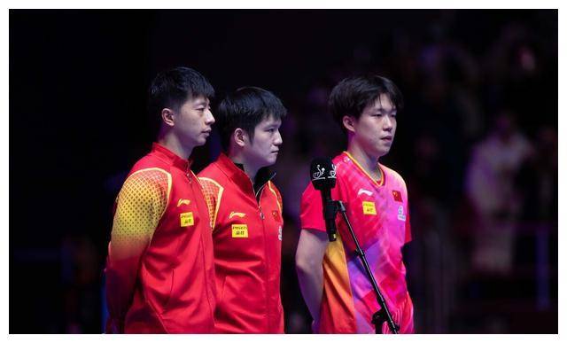 许昕_比赛_楚钦