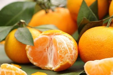 整个橘子都对身体有好处?吃橘子时应该注意什么?不妨了解一下!