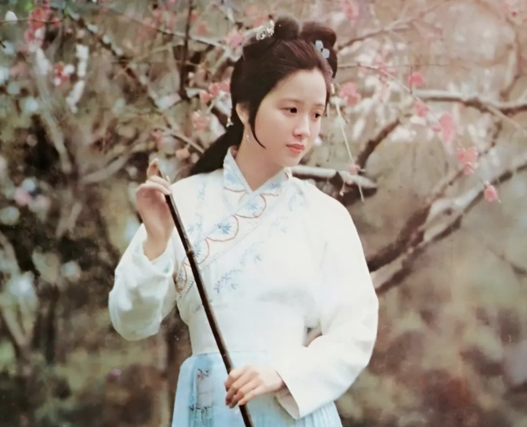 江南第一美人:陶慧敏,如今年过五十,却依然活跃在荧