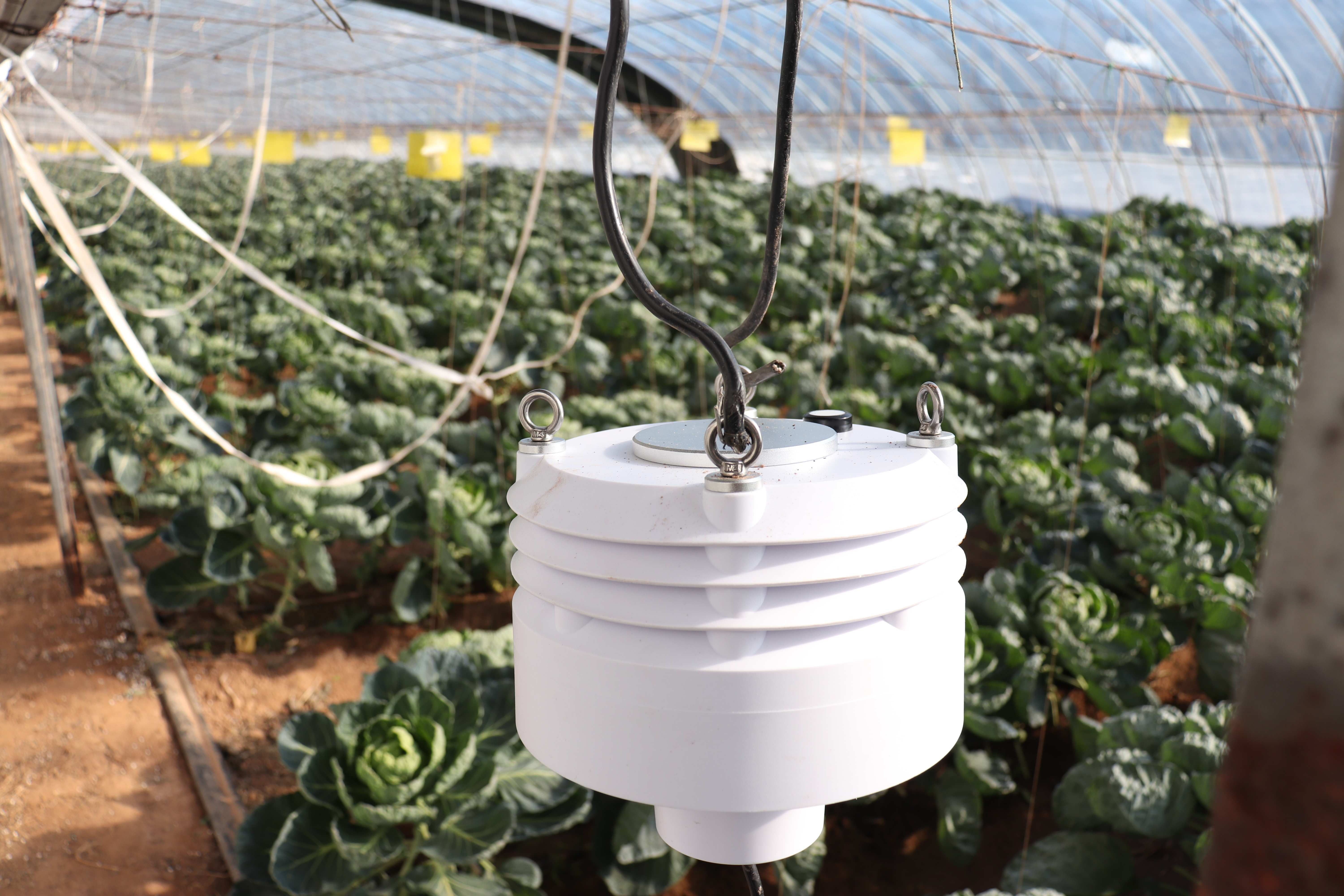 【邯郸耘农智慧】温室大棚传感器:精准农业的新选择_农户_传输_环境