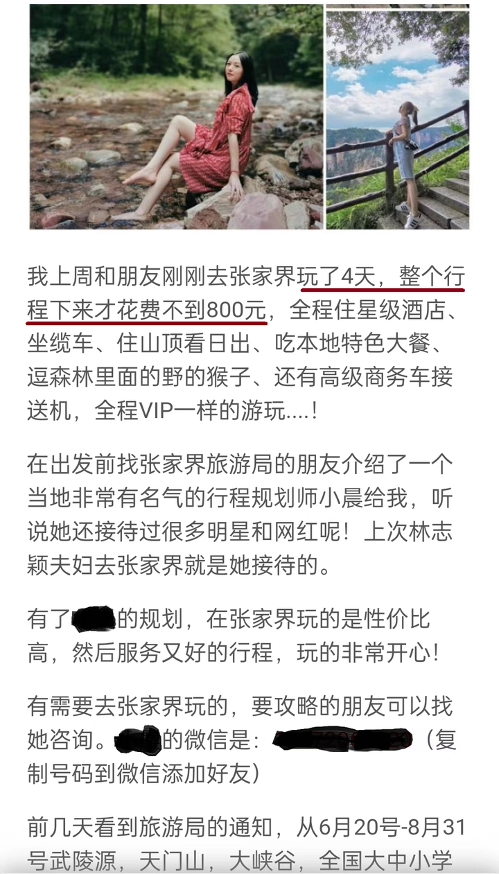 张家界旅游需要找导游吗_攻略_行程_门票