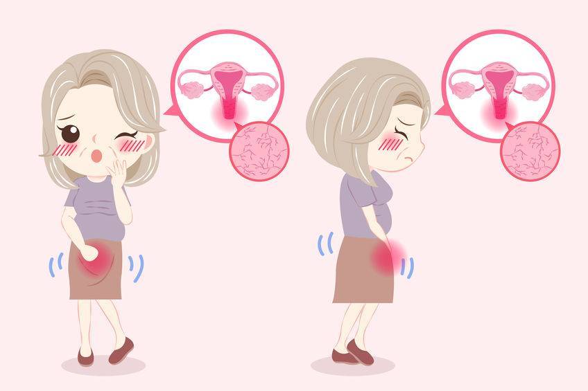 女性_月经_现象