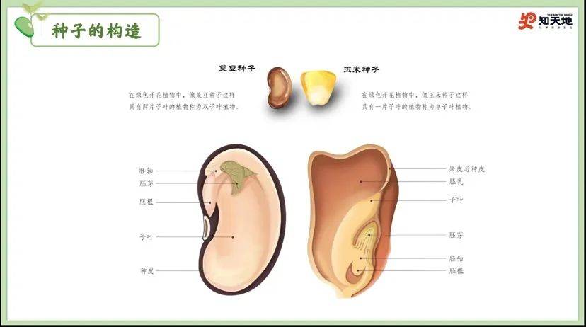 【阅读·悦心】 让书香溢满校园