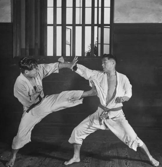 什么样的武功都不如一套王八拳来得实在