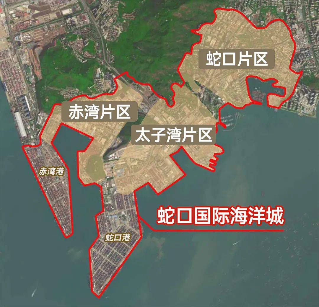 82_蛇口_南山区_国际学校