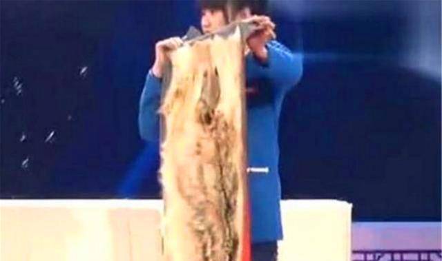 并且她希望专家们在鉴定完毕后能够为这张狼皮估一个价格,这样可以