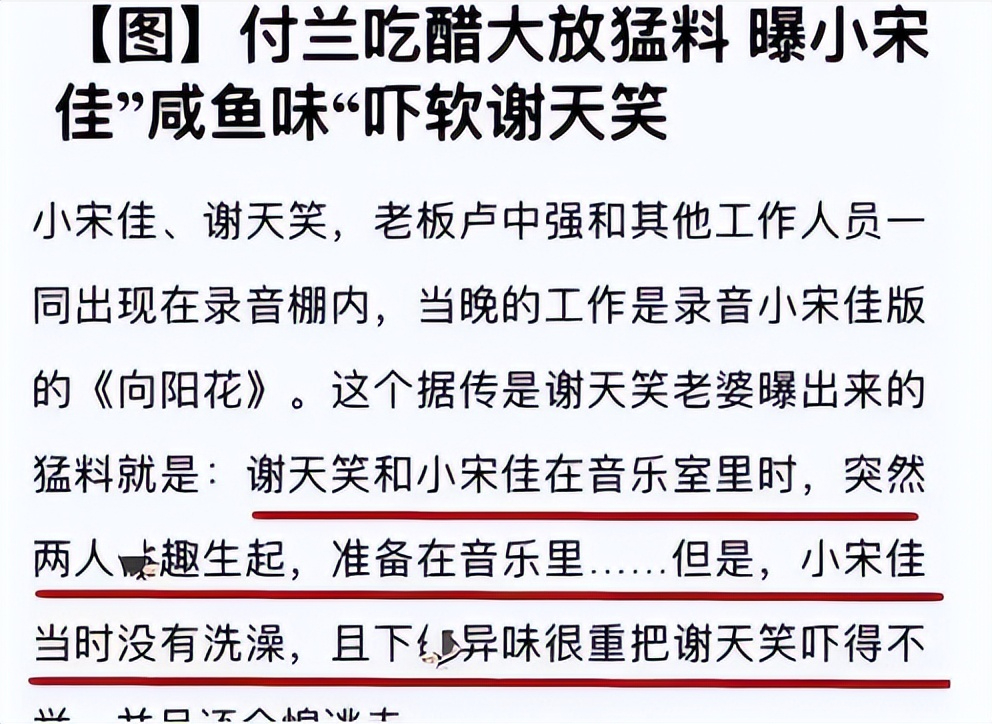 原创回顾宋佳因事业放弃陈龙因婚姻放弃张黎今42岁仍未婚