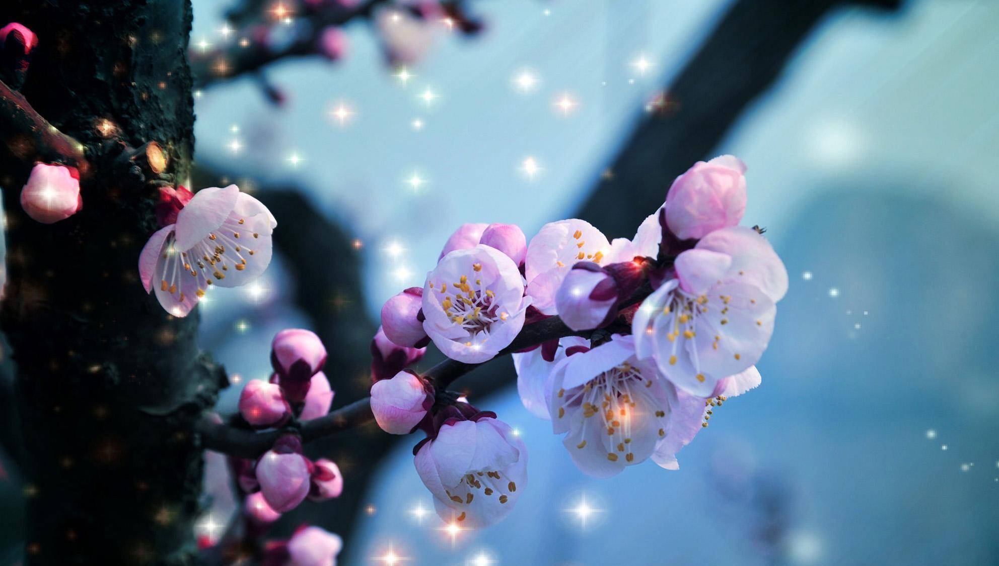 原创李煜如梦如幻之作开篇惊艳无一生僻字却写出后世无法模仿的美