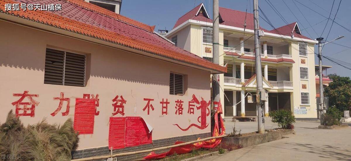 如何发展村级集体经济_合作_管理_方面