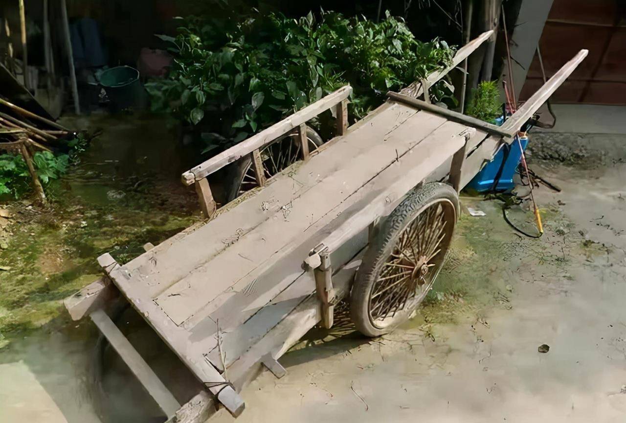 原创照顾瘫痪继父卖血供仨哥哥上学16岁的春玲却死在了卖血路上