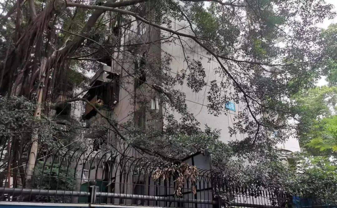 重磅南苑新村城市更新单元房屋征收补偿方案征求意见稿出炉钉子户要慌