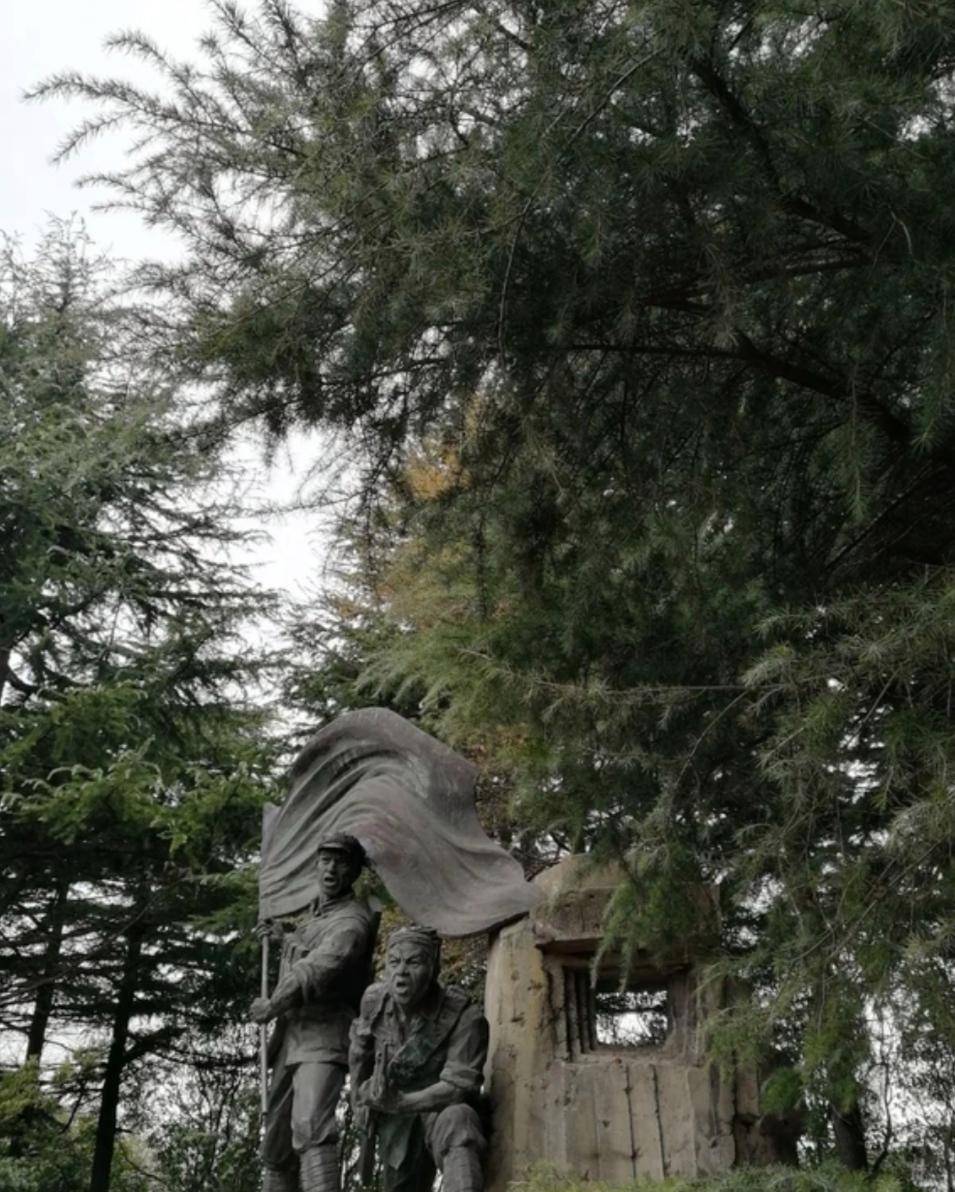 上海宝山月浦公园四季如画_人们_蝴蝶_树叶