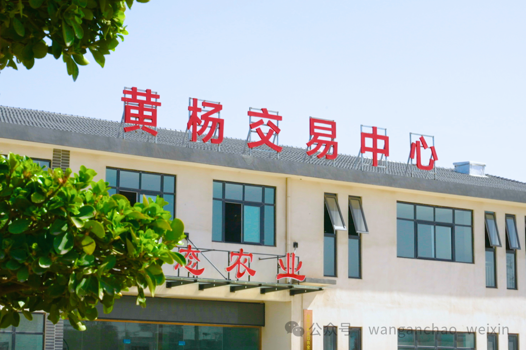 偃师区邙岭镇:兰庄村充分利用自然优势擘画乡村振兴蓝图 王安朝/文