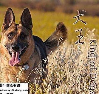 1993年,"功勋军犬"绑真炸药拍戏,被炸粉碎,导演却高呼:太好_海龙_姚守