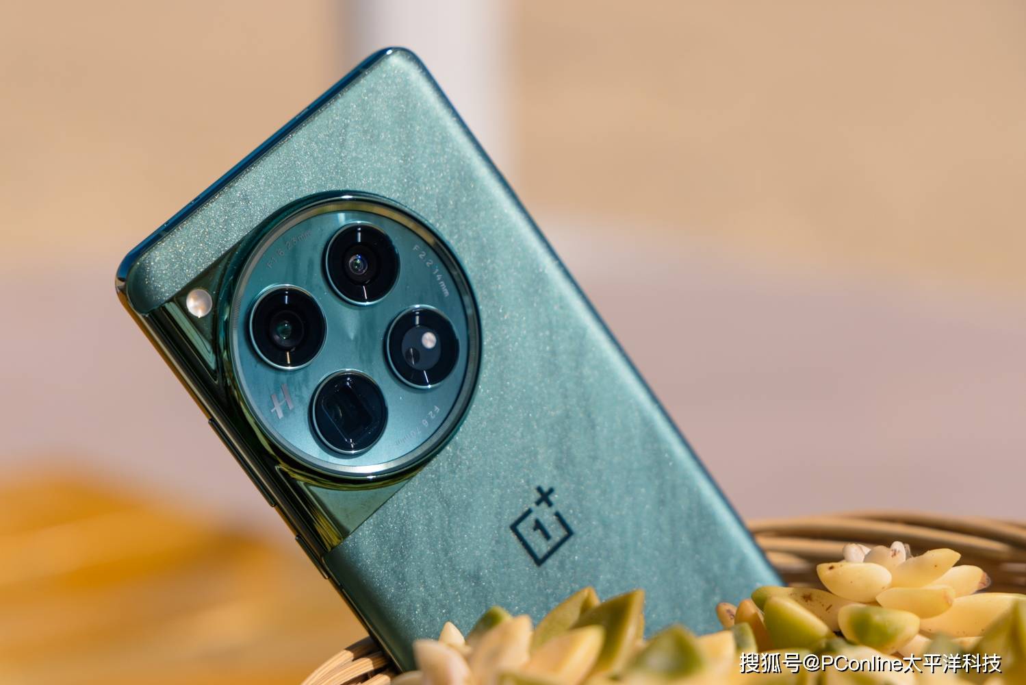 梦之海浪,一加12手机的苍绿之美_外表_的设计_叫声