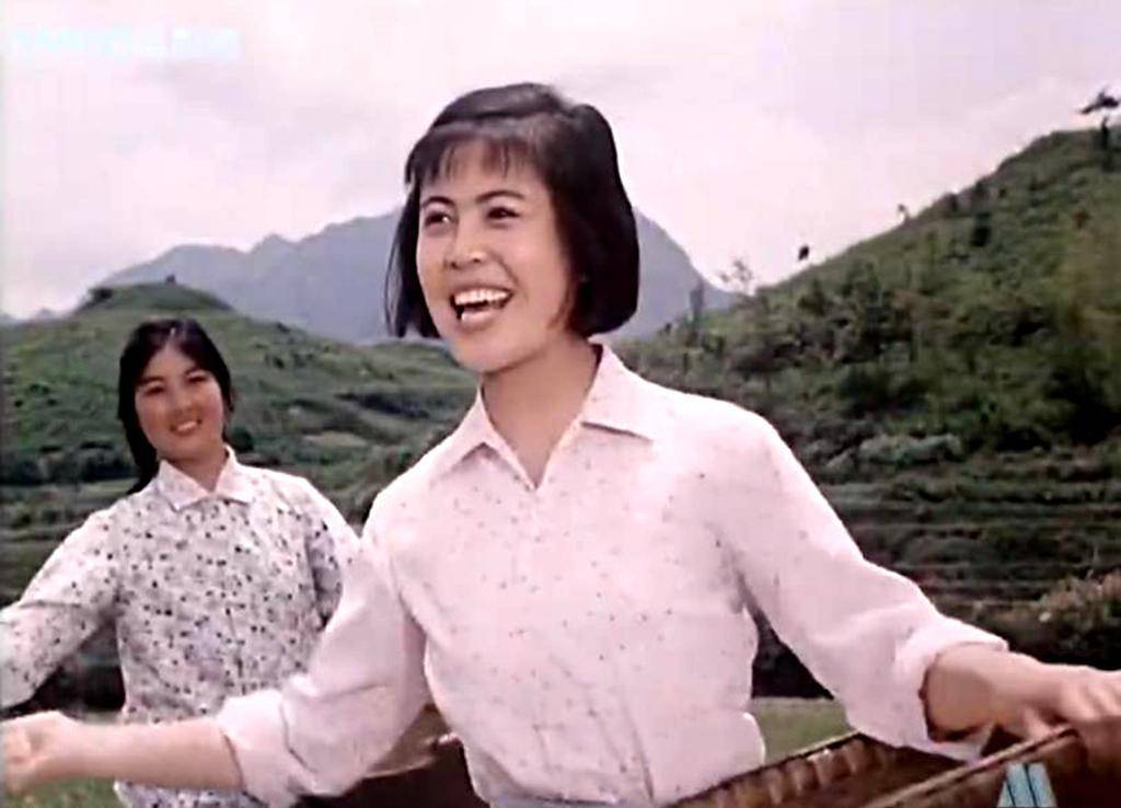 43年前《柳暗花明》,本打算由王馥荔演女一号,却因故改成陈大姝_张平