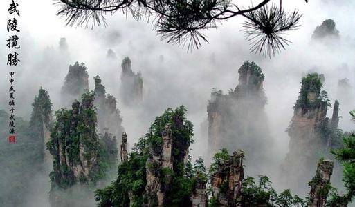 张家界旅行社报价及路线，靠谱导游+网约+贴心服务
