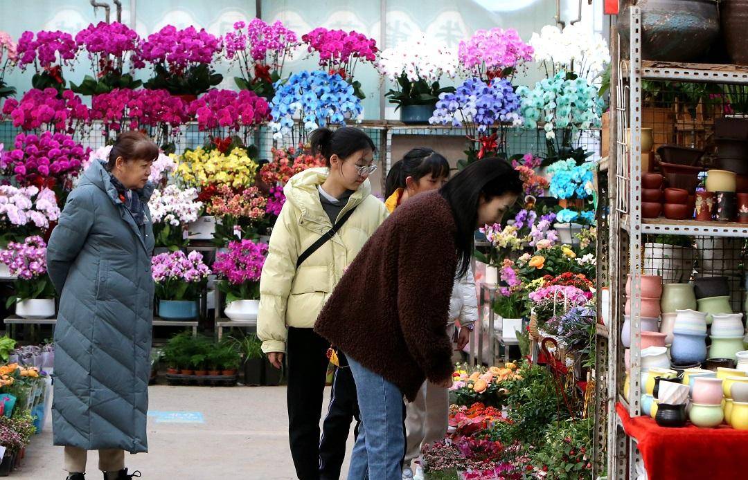 西安春节过后花卉市场人气旺
