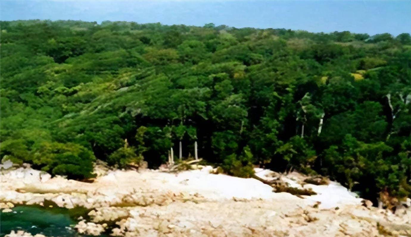 原创印度北哨兵岛世界禁地与世隔绝6万年外来者入皆遭诛杀