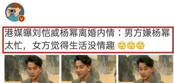 有大v博主爆料称,港媒早就曝光了刘恺威和杨幂离婚的原因.